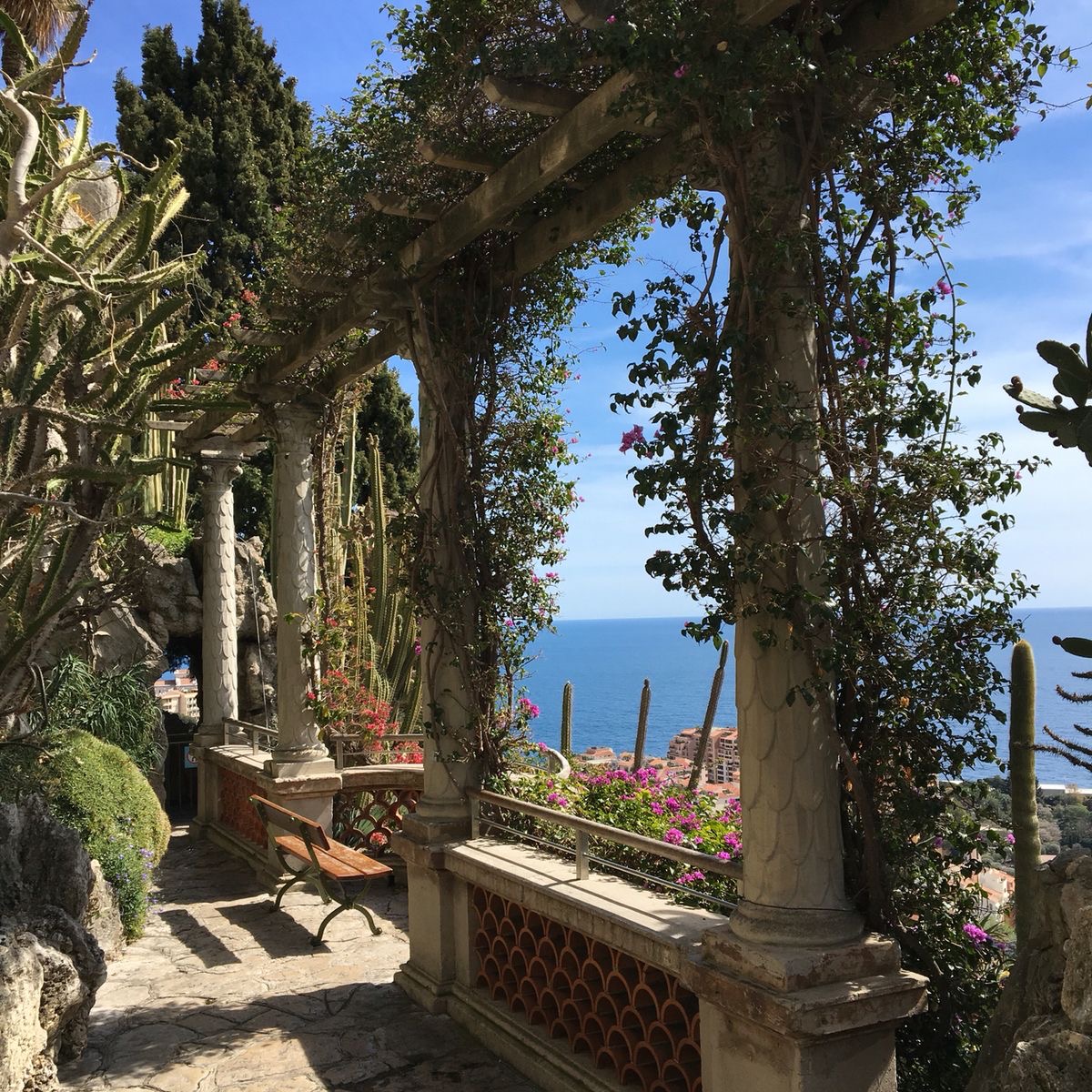 Chain Bridge - A Symbol of Unity in Budapest’s History 7 Le Jardin Exotique, Monaco