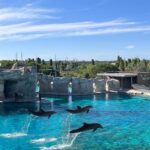 Marineland Antibes