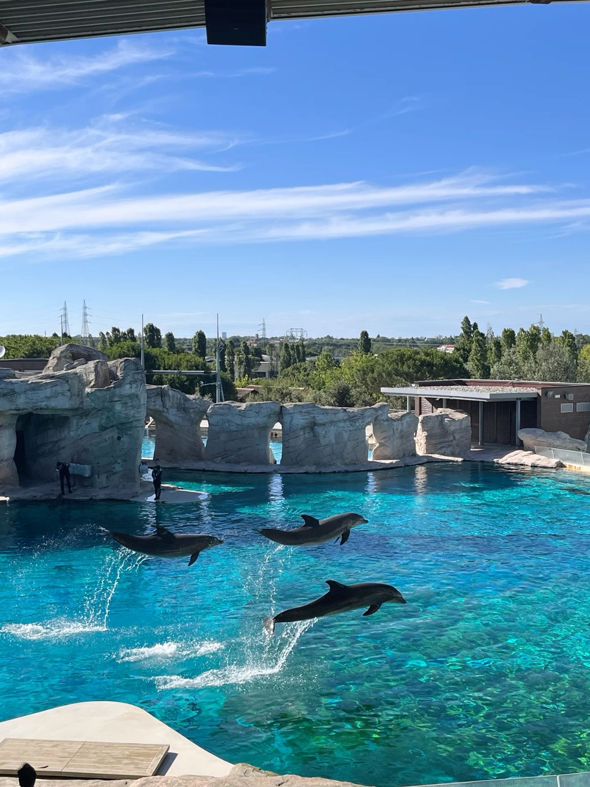 Chain Bridge - A Symbol of Unity in Budapest’s History 4 Marineland Antibes