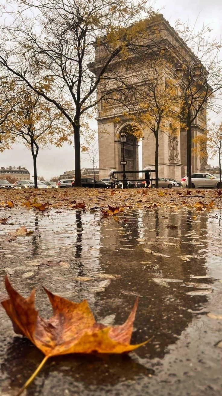 What to Do in Paris in November