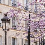 What to Do in Paris in March
