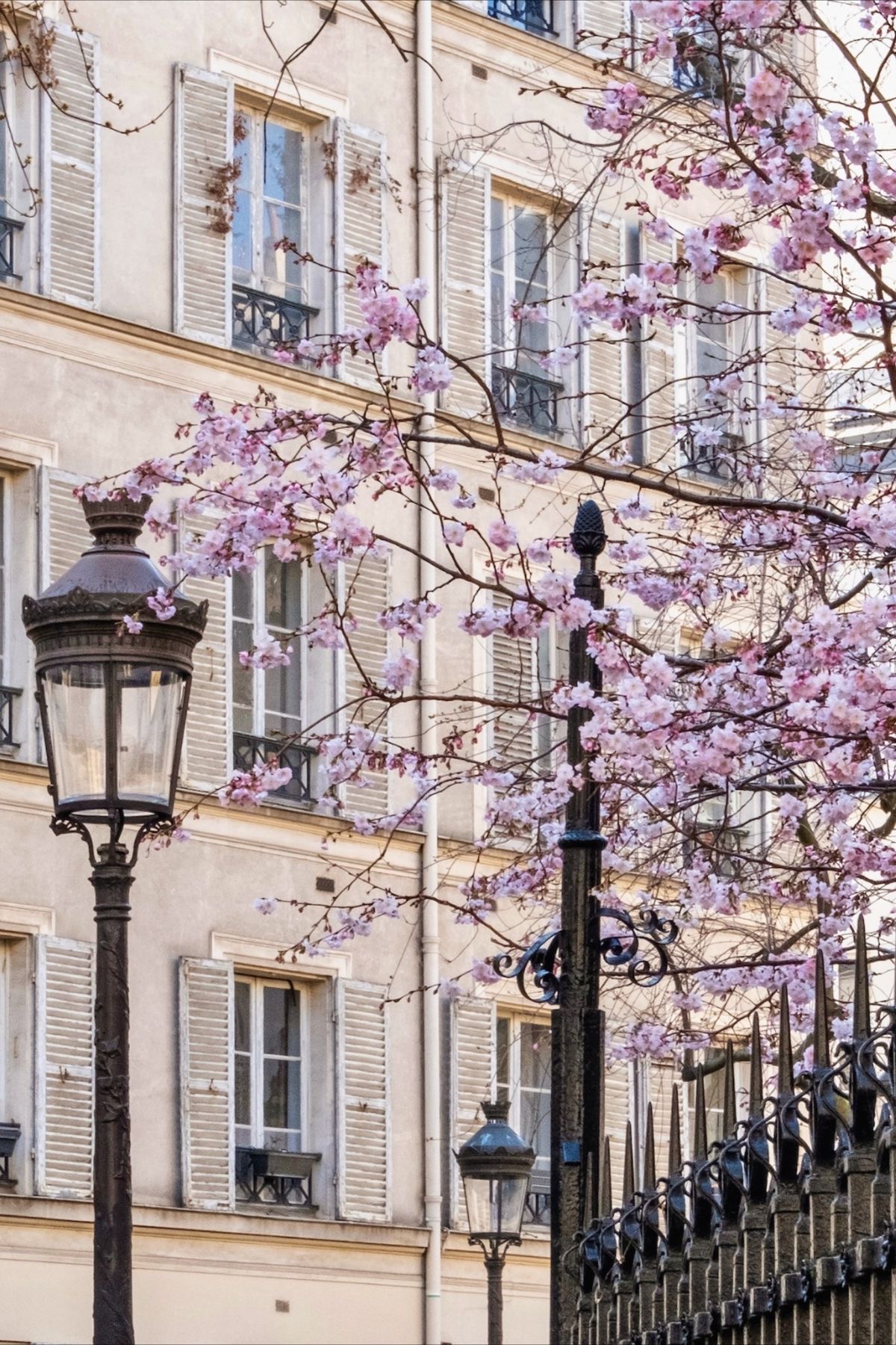 What to Do in Paris in March
