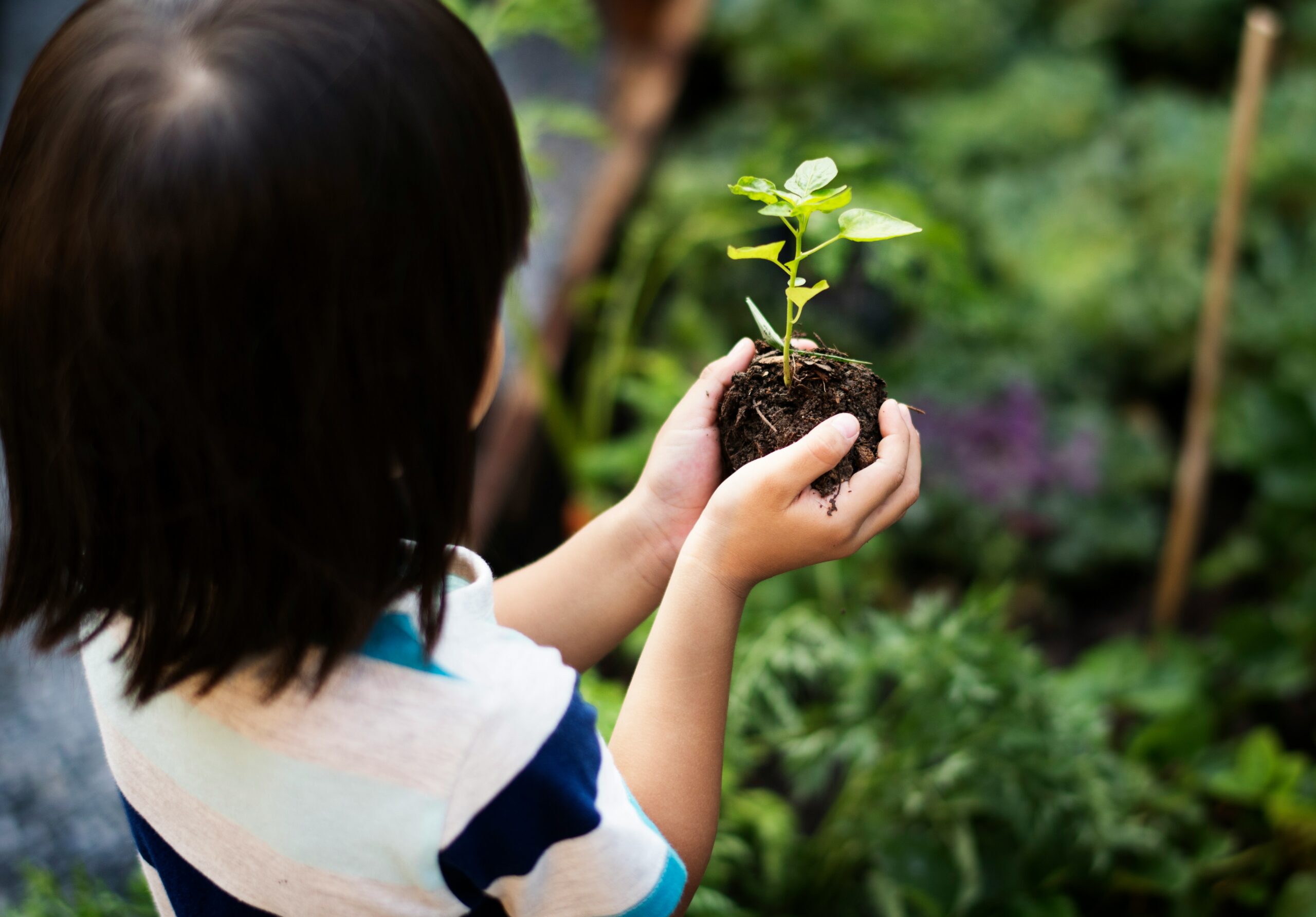 Earth Day Every Day scaled Parenting Tip: Mastering the Morning Routine