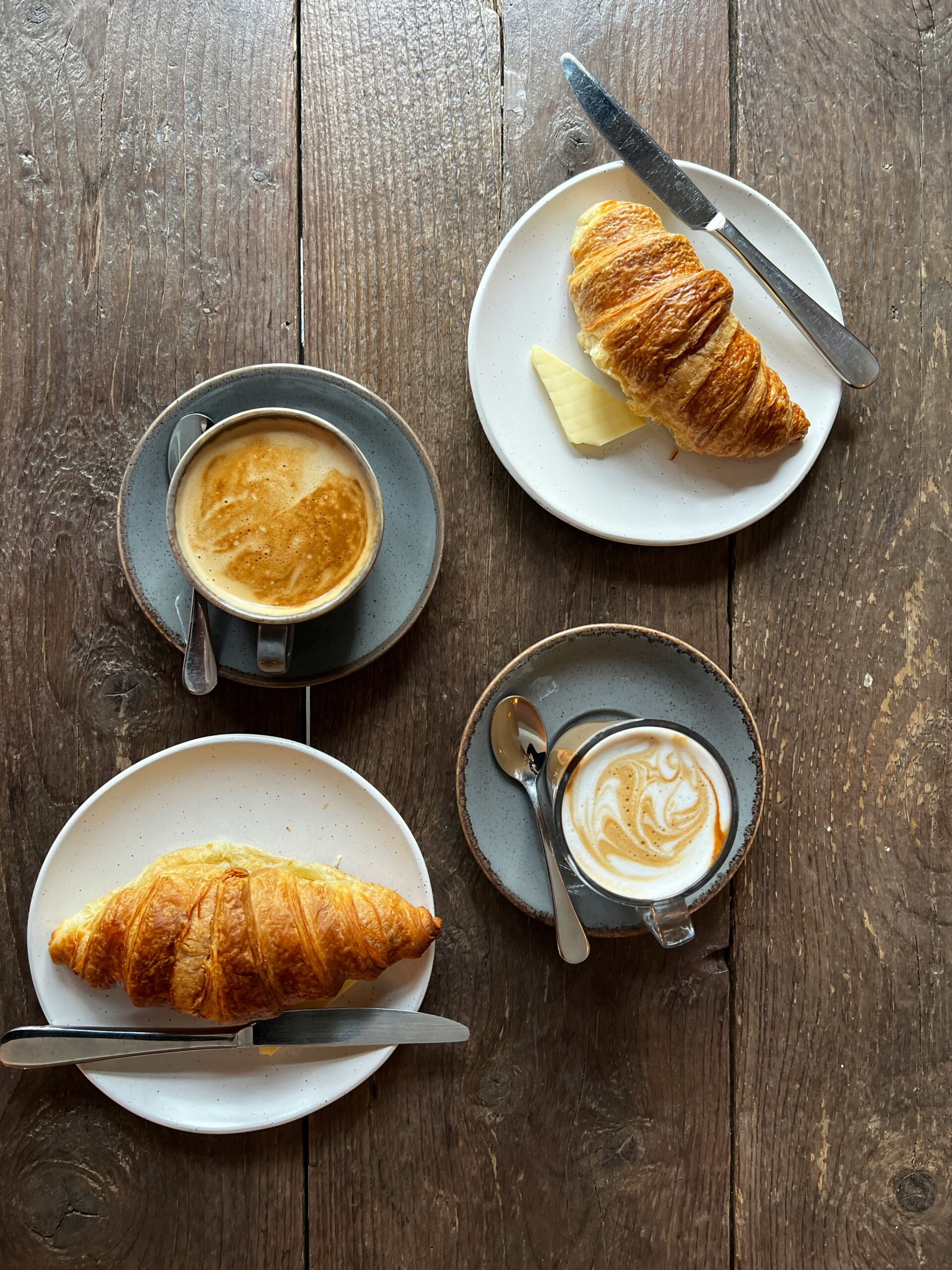 Dschungel Cafe scaled MuseumsQuartier