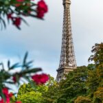 July Paris’s Seasonal Changes