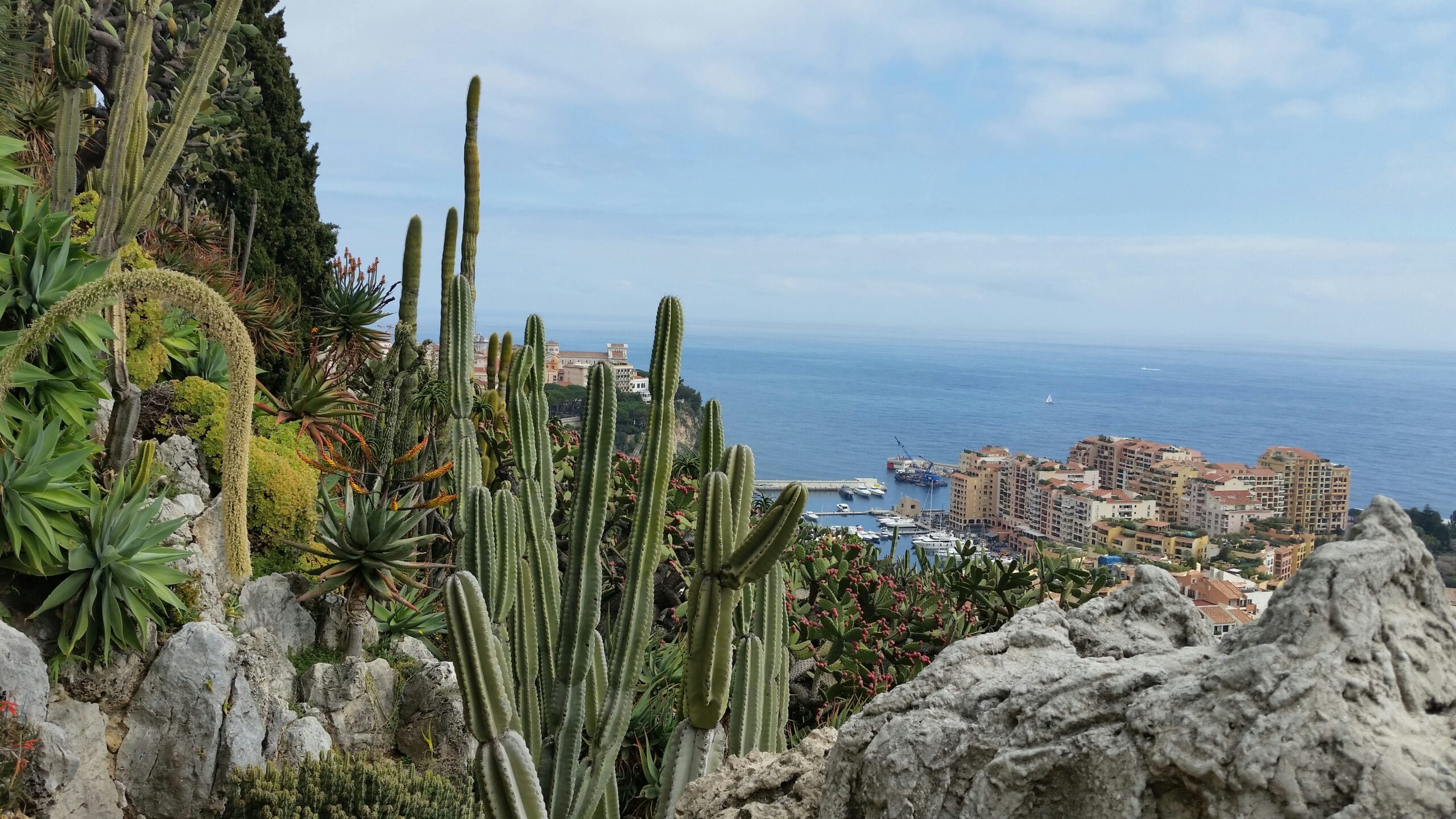 Castle Hill (Colline du Château), Nice 2 Le Jardin Exotique Monaco scaled Castle Hill (Colline du Château), Nice