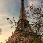March Paris’s Seasonal Changes