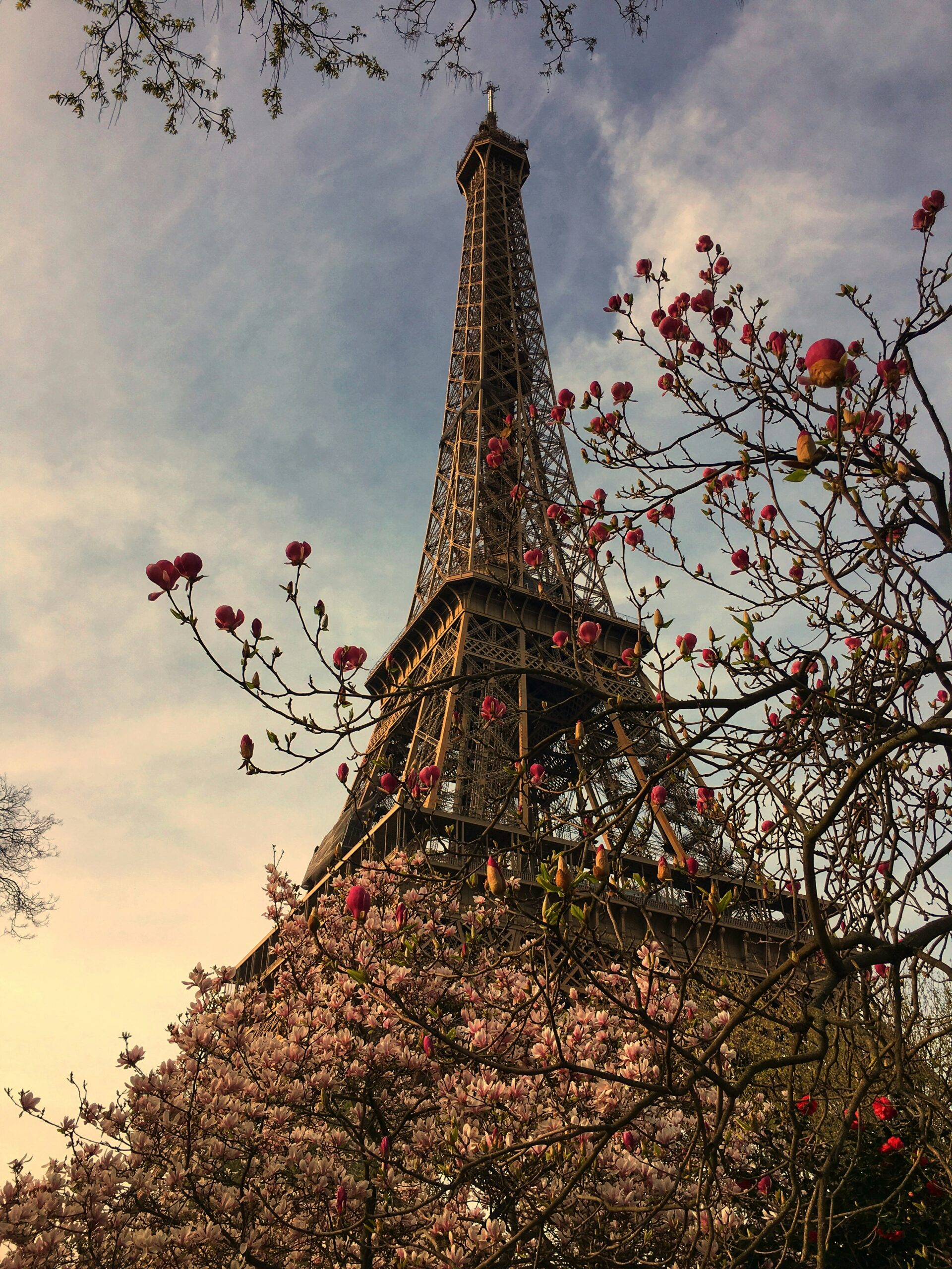 March scaled What to Do in Paris in August