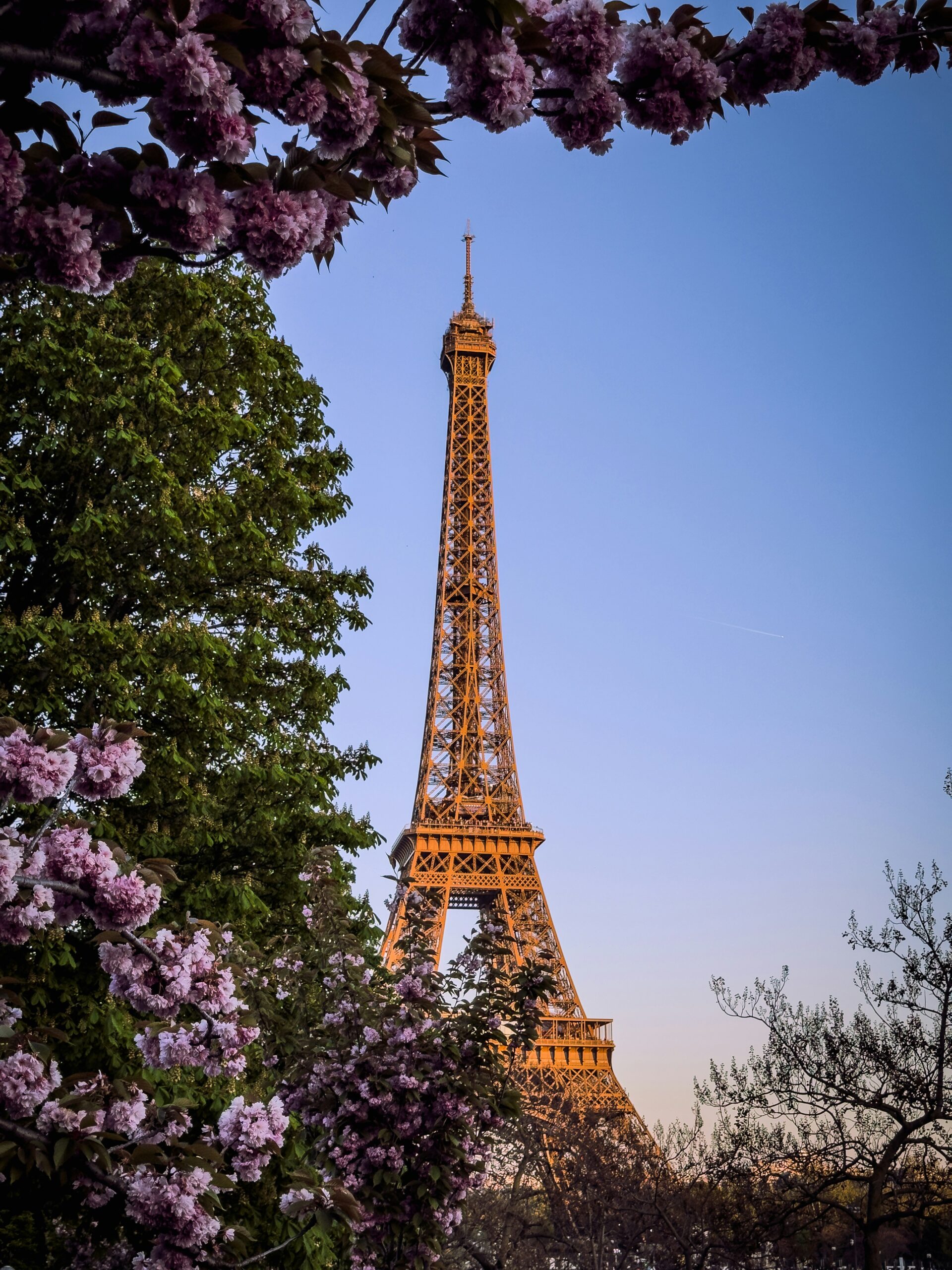 May scaled What to Do in Paris in August