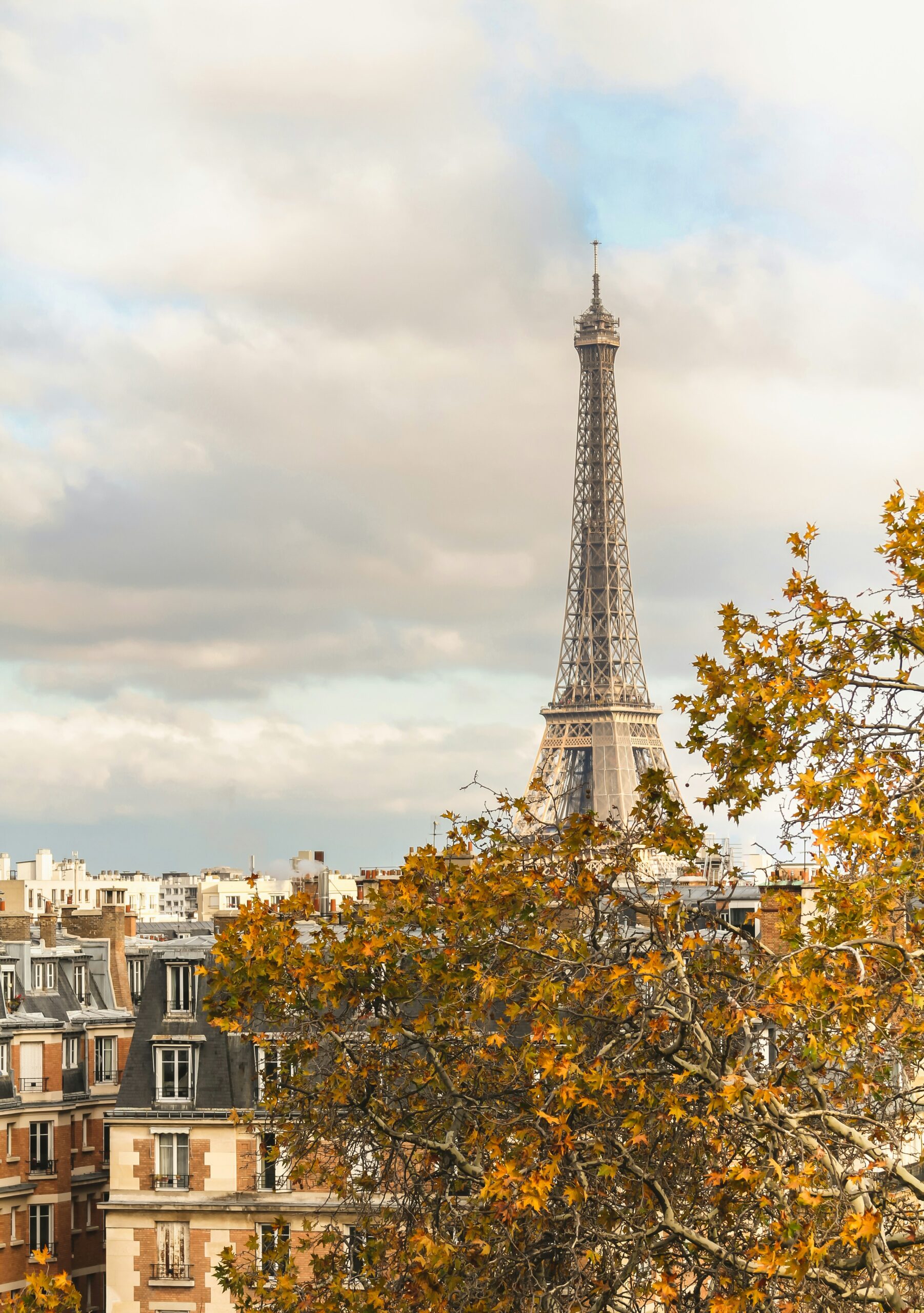 October scaled What to Do in Paris in August