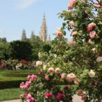 Seasonal Changes Vienna Travel Tips