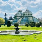 What to do in June Vienna’s Seasonal Journey