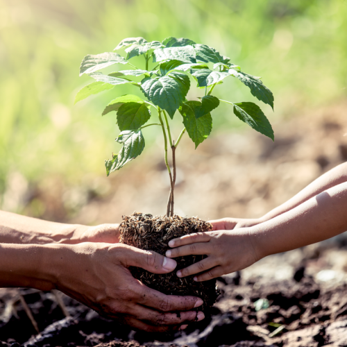 Earth Day Every Day: Eco-Friendly Projects for Young Children