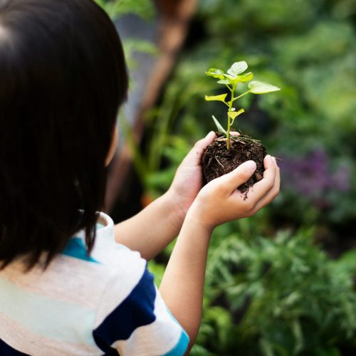 Earth Day Every Day