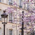 What to Do in Paris in March