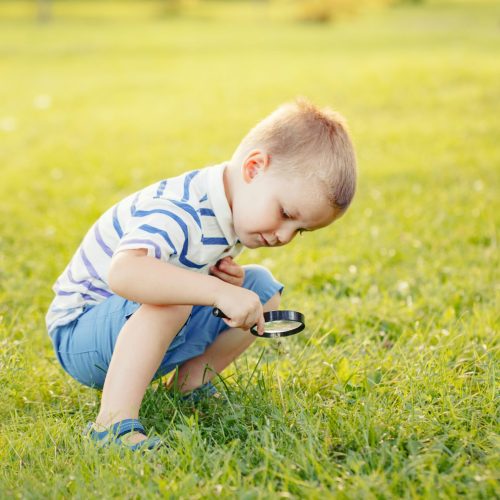 Raising Curious Kids