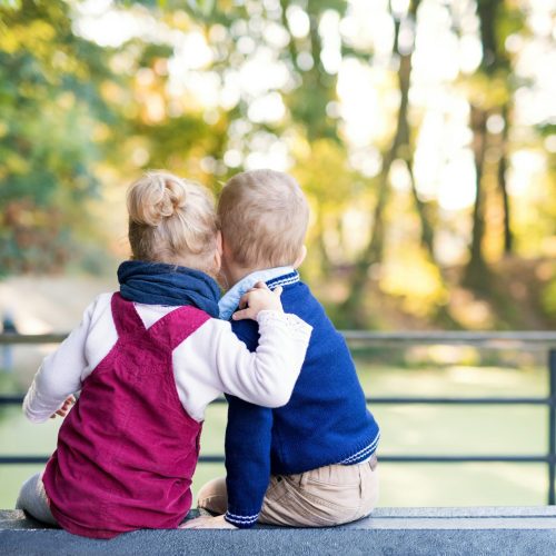 Supporting Social Skills (1)