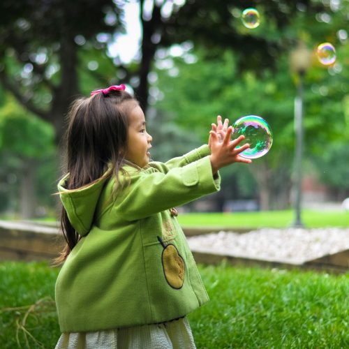 The Science of Play (1)